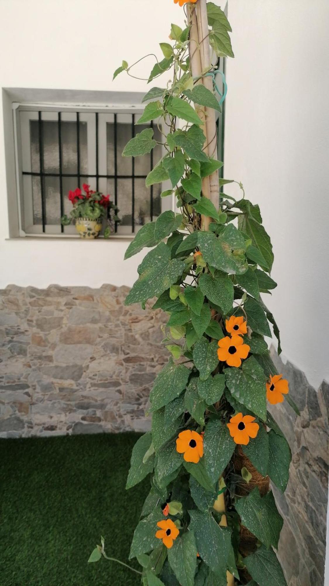 La Casa De La Abuela Apartamento Pinos Genil Exterior foto