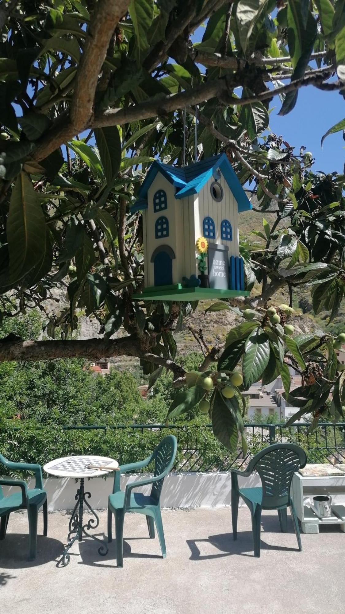 La Casa De La Abuela Apartamento Pinos Genil Exterior foto